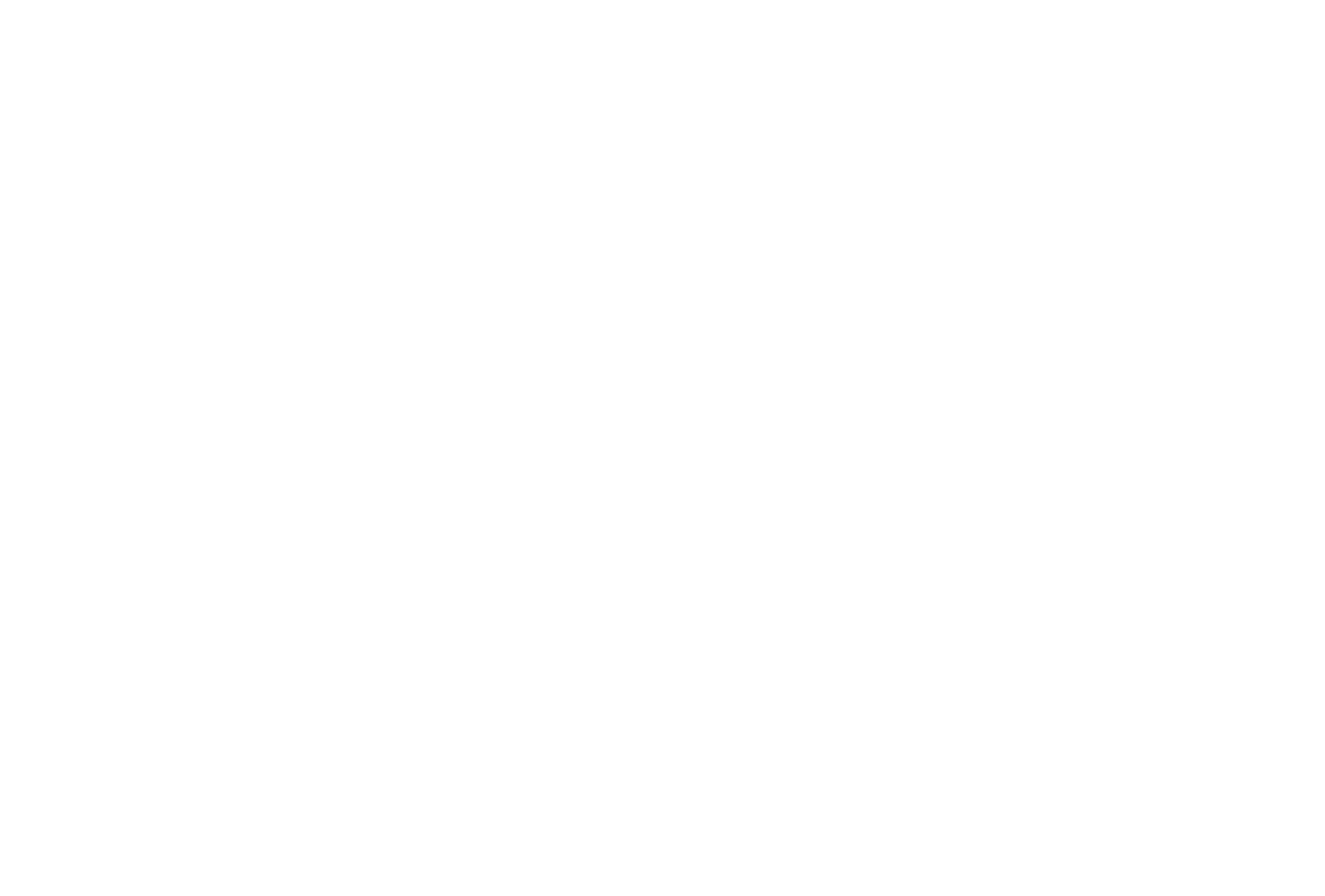 Lady Boardroom